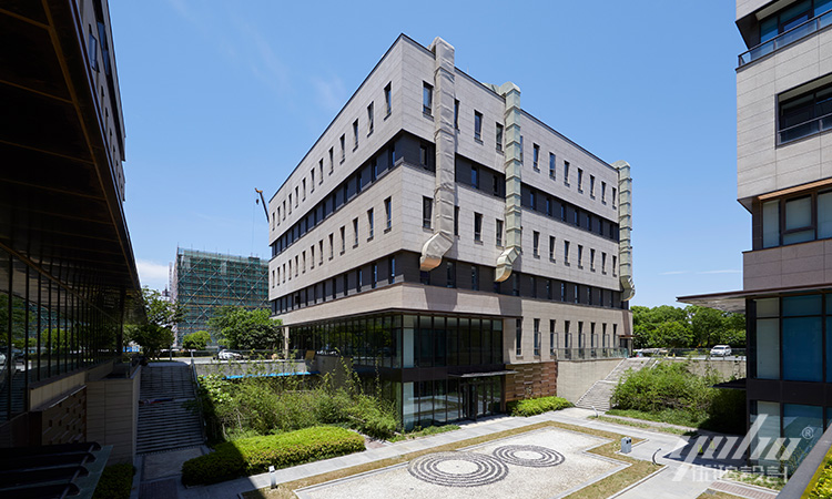 午夜AV免费观看